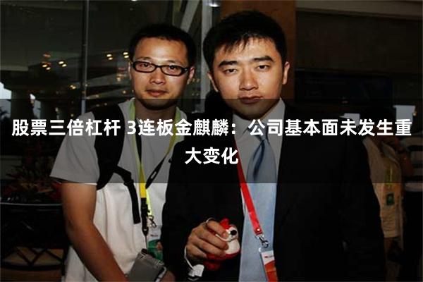 股票三倍杠杆 3连板金麒麟：公司基本面未发生重大变化