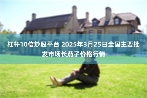 杠杆10倍炒股平台 2025年3月25日全国主要批发市场长茄子价格行情