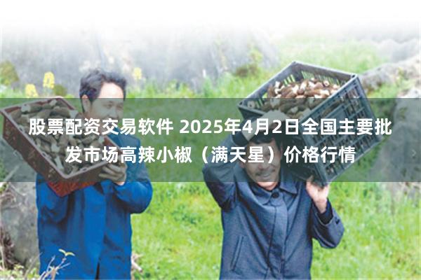 股票配资交易软件 2025年4月2日全国主要批发市场高辣小椒（满天星）价格行情