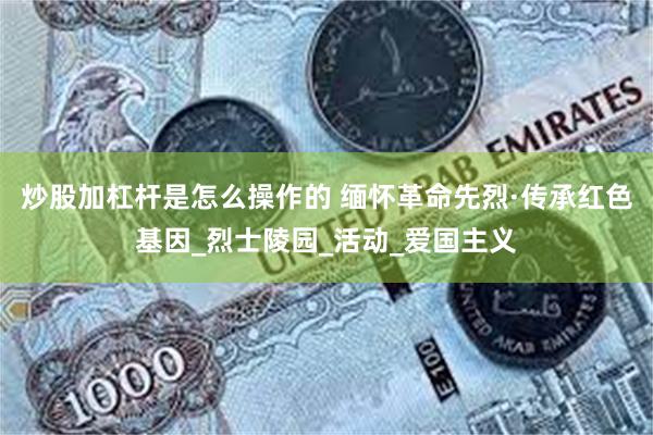 炒股加杠杆是怎么操作的 缅怀革命先烈·传承红色基因_烈士陵园_活动_爱国主义