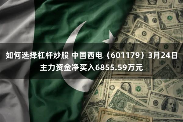 如何选择杠杆炒股 中国西电（601179）3月24日主力资金净买入6855.59万元
