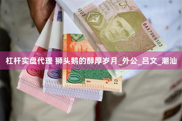 杠杆实盘代理 狮头鹅的醇厚岁月_外公_吕文_潮汕