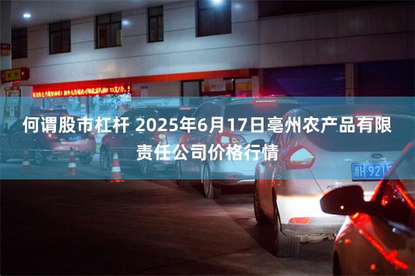 何谓股市杠杆 2025年6月17日亳州农产品有限责任公司价格行情