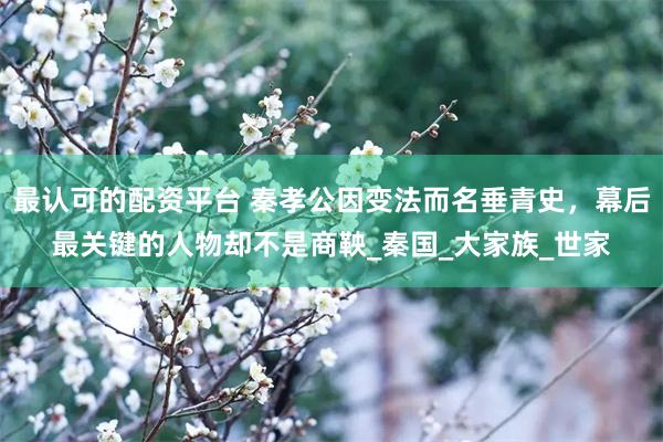 最认可的配资平台 秦孝公因变法而名垂青史，幕后最关键的人物却不是商鞅_秦国_大家族_世家