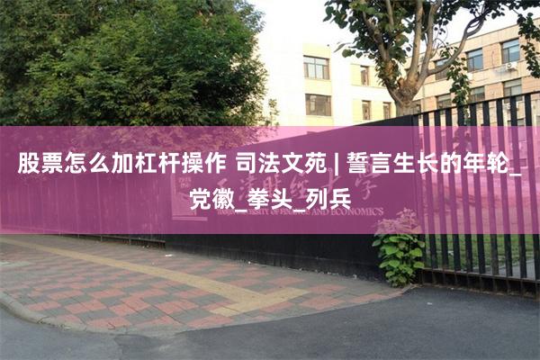 股票怎么加杠杆操作 司法文苑 | 誓言生长的年轮_党徽_拳头_列兵