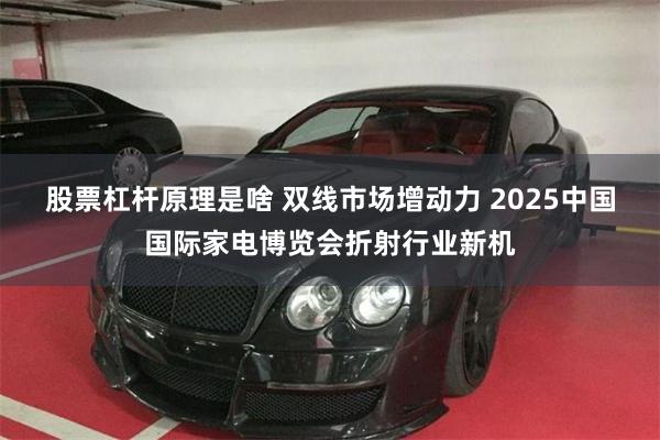 股票杠杆原理是啥 双线市场增动力 2025中国国际家电博览会折射行业新机