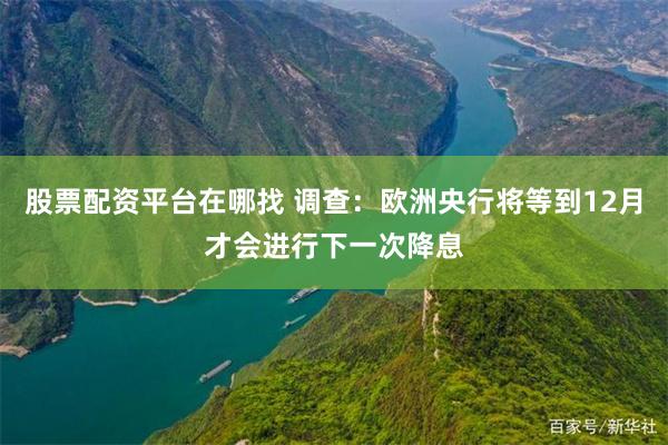 股票配资平台在哪找 调查：欧洲央行将等到12月才会进行下一次降息