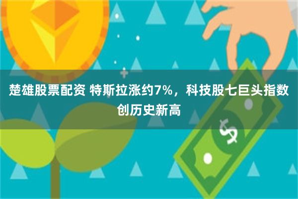 楚雄股票配资 特斯拉涨约7%，科技股七巨头指数创历史新高